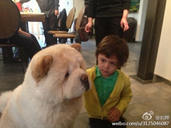刘烨晒儿子和狗萌照 网友调侃:哪个亲生？