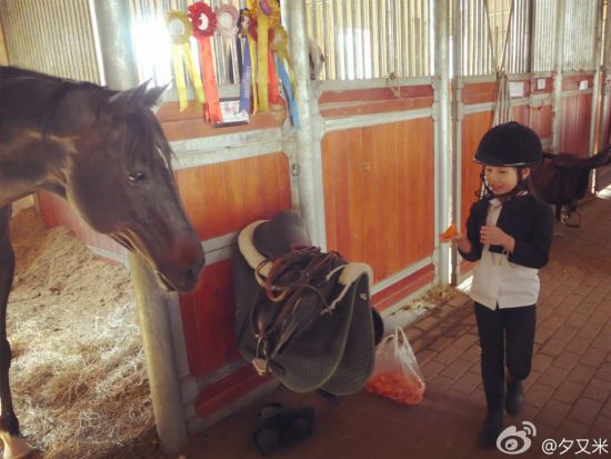 高晓松娇妻晒女儿骑马照英气十足