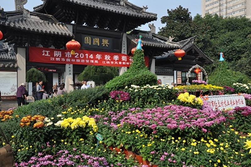 秋季菊花展 上万盆菊花扮靓兴国公园