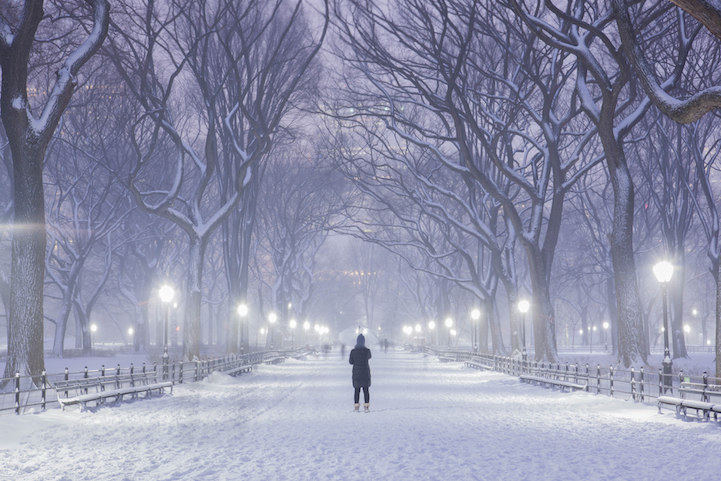 [摄影] 2015暴风雪中的纽约中央公园