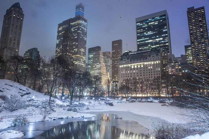 [摄影] 2015暴风雪中的纽约中央公园