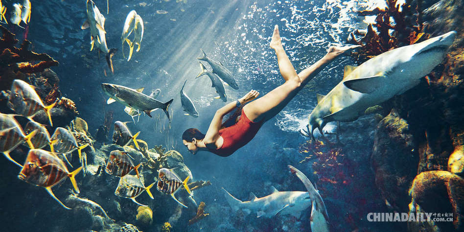 惊悚！蕾哈娜横躺白鲨口中妩媚秀身段
