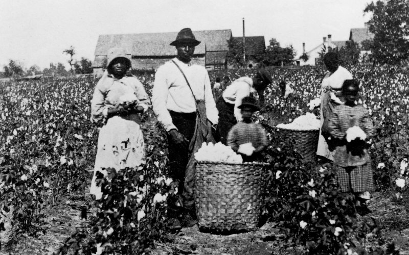 奴隶制如何开启了美国资本主义时代？