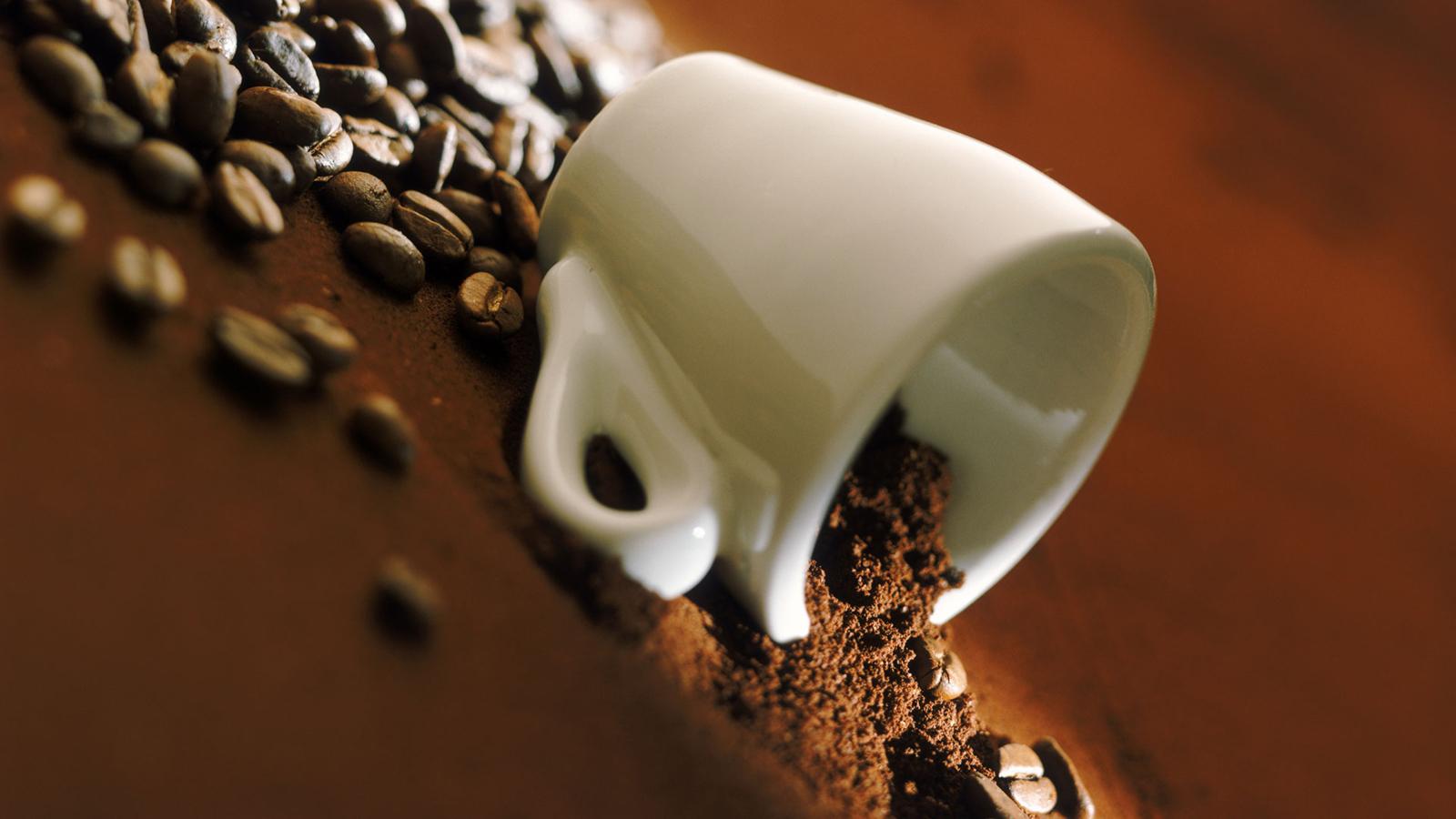 咖啡危机：我们最爱的饮品正走向苦涩的终结？
