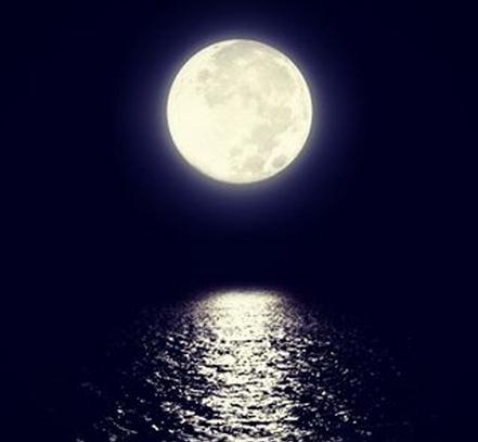 昨夜天空现“超级月亮” 观星爱好者纷纷拍照晒图