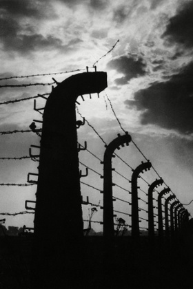 奥斯威辛集中营幸存者的故事