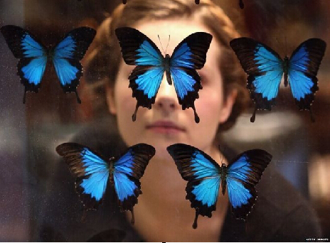 蝴蝶能揭开生命的奥秘吗？