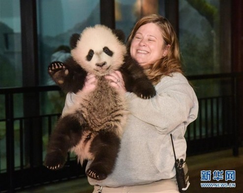 北京动物园搬迁提议惹争议 看那些“萌翻人”的国外动物园留下怎样的记忆