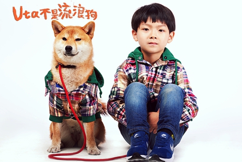 中日宠物电影《Uta不是流浪狗》催泪故事温暖