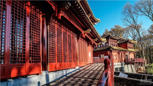 荷兰拟建史上最豪华熊猫馆!《魔兽》潘达利亚