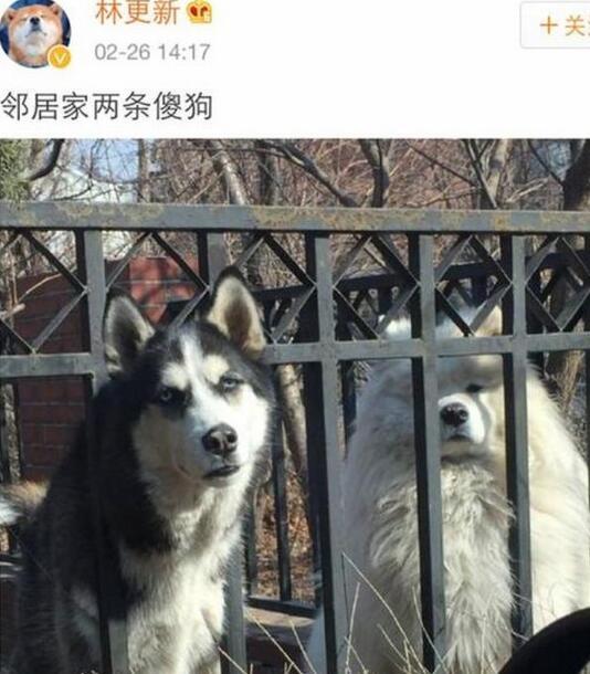 这就尴尬了！林更新、蒋劲夫、张若昀学历大起底