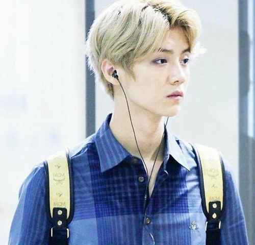 鹿晗辨识度如此高 是穿蓝色衣服中最容易被发现的中国男星