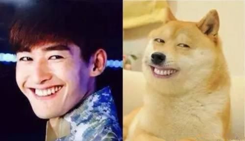 蒋劲夫姚明张学友张翰陈晓王俊凯 明星们的搞笑表情包