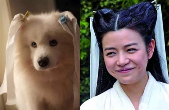 盘点最毁经典角色的三大女星 陈妍希只能排第二
