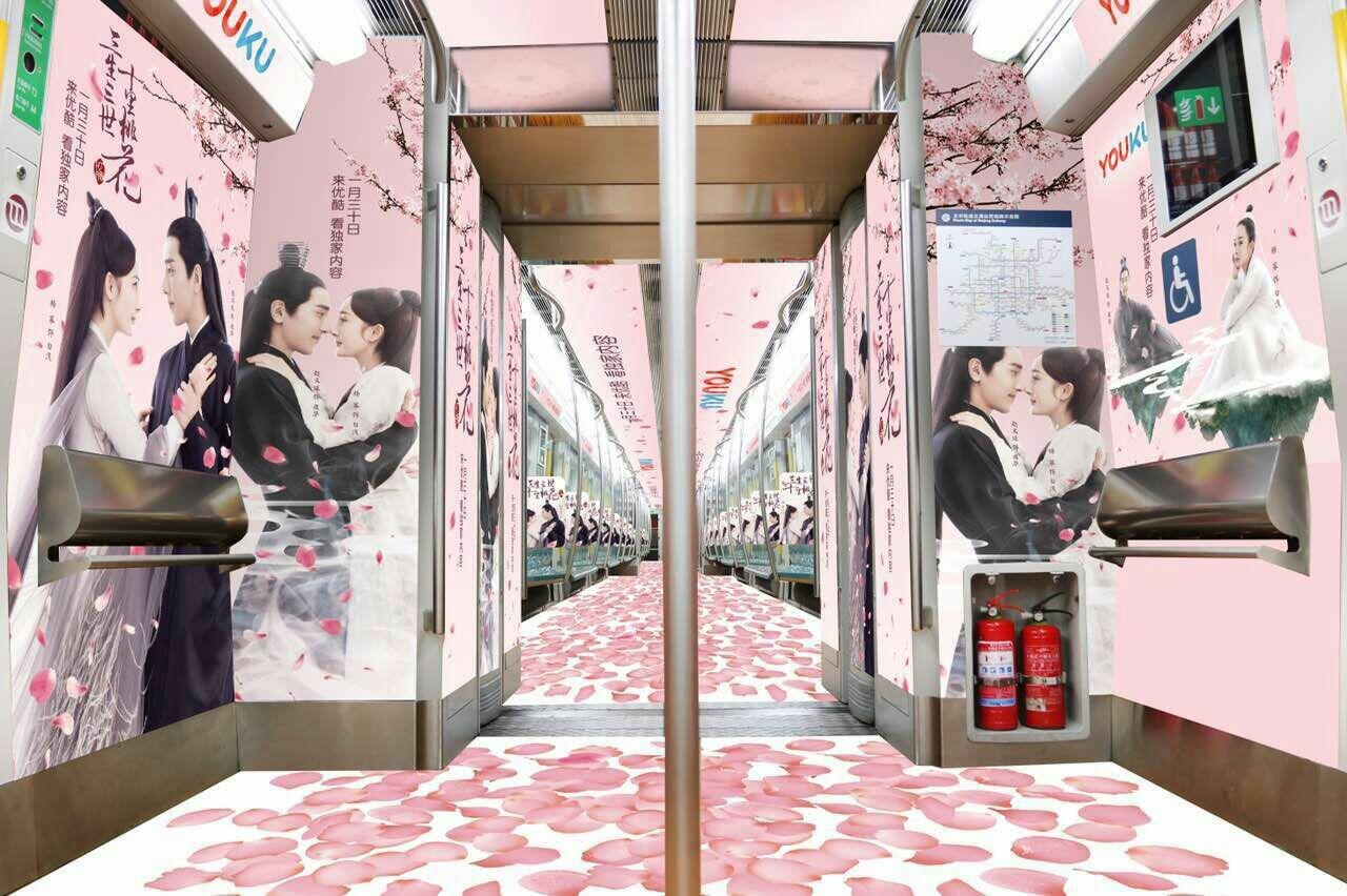 坐着地铁看桃花，《三生三世十里桃花》优酷独家花絮日更中