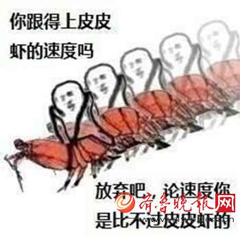 皮皮虾我们...表情包合集 皮皮虾什么梗？我们走我们回来我们下馆子各种奇葩