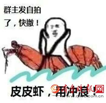 皮皮虾我们...表情包合集 皮皮虾什么梗？我们走我们回来我们下馆子各种奇葩