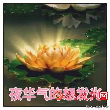 夜华从蛋变莲花 离境性向成迷 《三生三世十里桃花》改了啥
