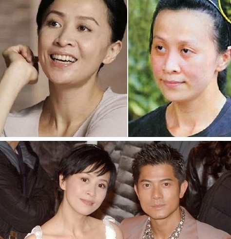 不化妆的女星 张馨予董卿李小璐马伊琍变样了吗
