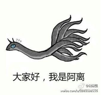 杨幂晒恶搞图自黑暴露情商：团子为啥叫阿离？阿离真身究竟是啥
