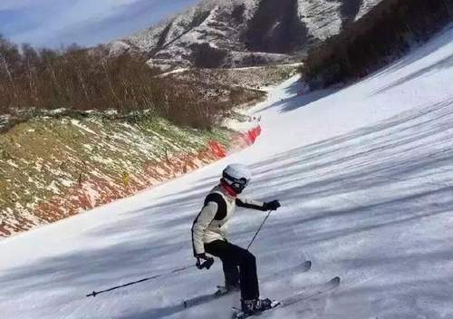 揭秘撒贝宁老婆身世 网友：原来她这么牛