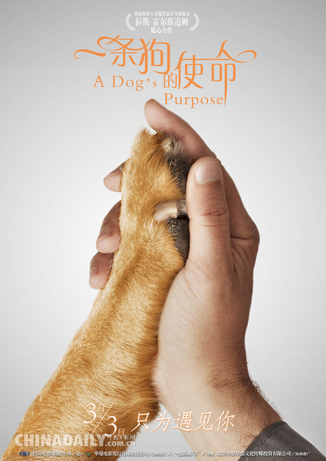 《一条狗的使命》曝“携手版”海报 “暴走漫画”助阵声动人心
