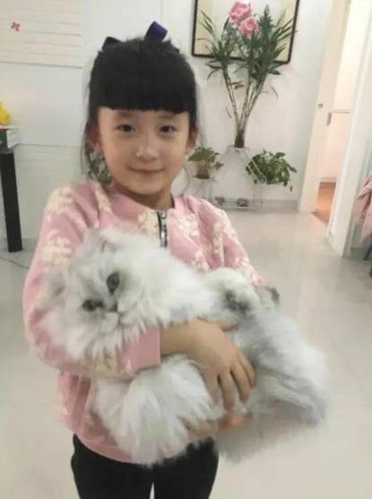7岁小童模吴骐羽入选中国国际时装周王玉涛亲子时装发布