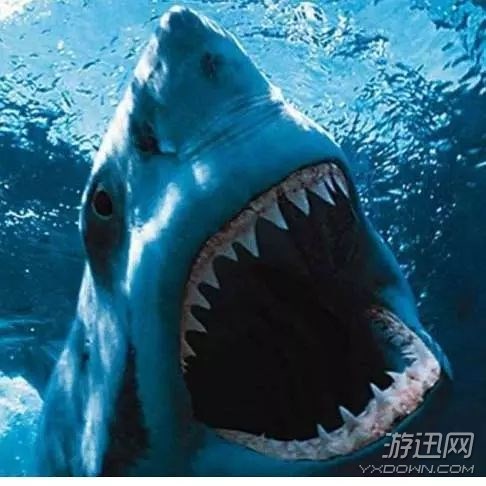 哥斯拉也曾当过萌宝宝？电影史上最经典的二十大怪物