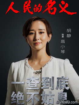 人民的名义演员表 老戏骨云集 剧情简介