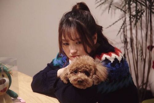 金莎对爱狗做了什么 它在狗界抬不起头[1]