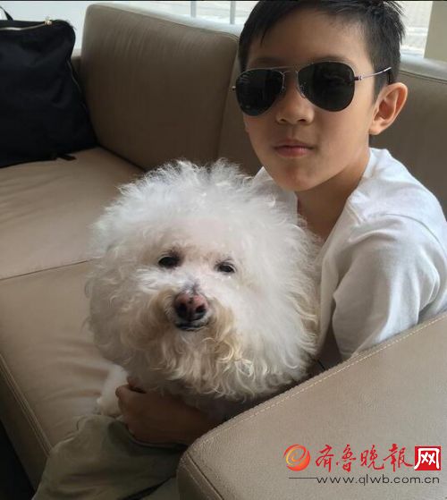 儿子太帅被求出道 问母亲袁咏仪是否认识其他大明星