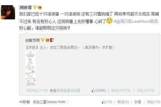 人美心善！刘亦菲收养几十只流浪猫场面壮观