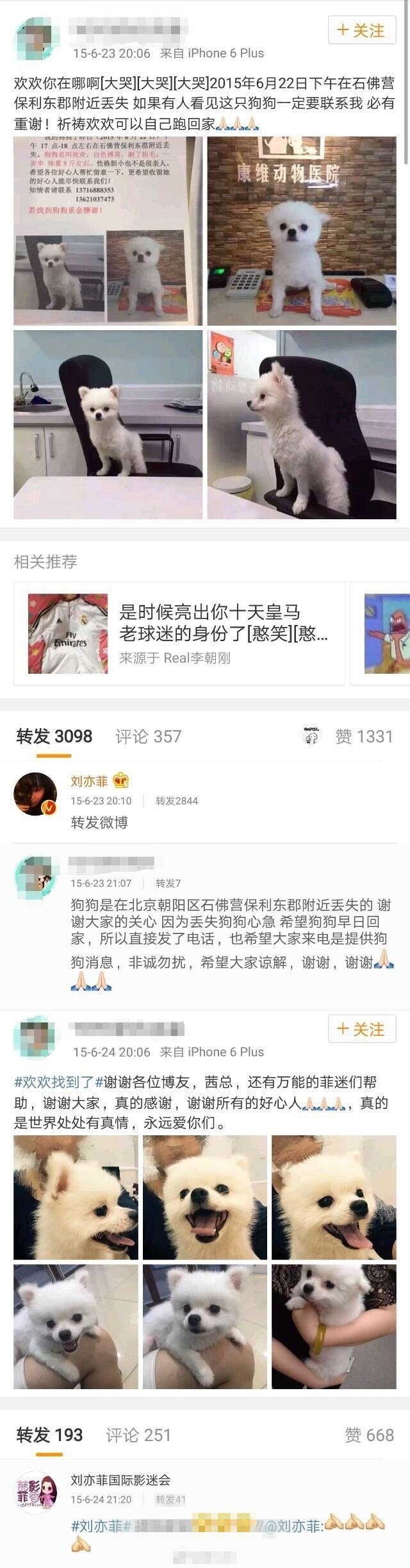 人美心善！刘亦菲收养几十只流浪猫场面壮观