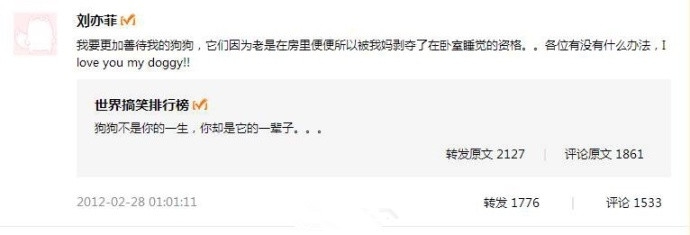 人美心善！刘亦菲收养几十只流浪猫场面壮观