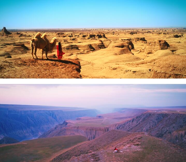 大型纪录片《印象 丝绸之路》走进克拉玛依“沙漠美人”