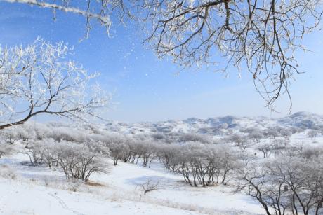 黑龙江邀请广东游客来一趟冰雪发现之旅