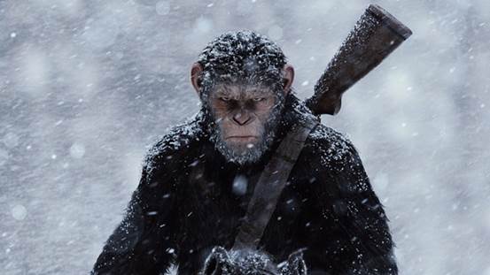 影评：《猩球崛起3》人猿决战中的社会反思