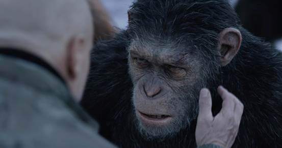 影评：《猩球崛起3》人猿决战中的社会反思