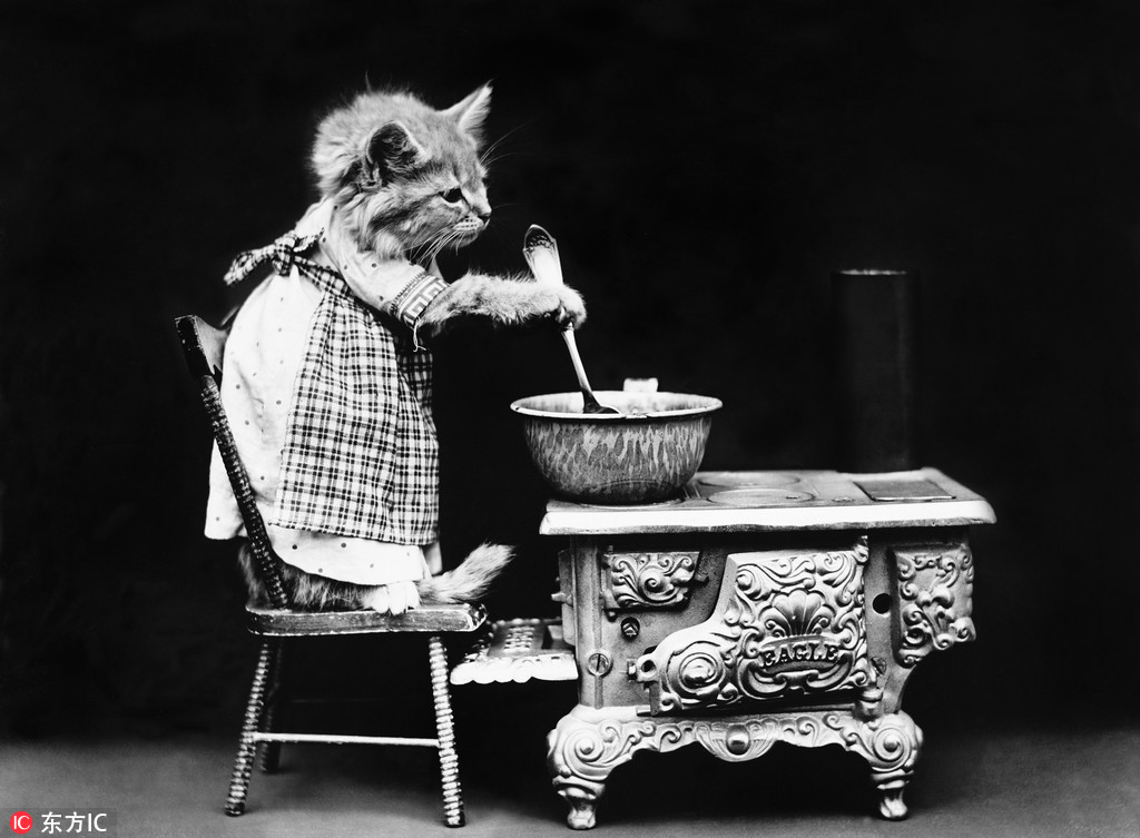 萌物过家家！一个世纪前的摄影家教你如何正确吸猫吸狗
