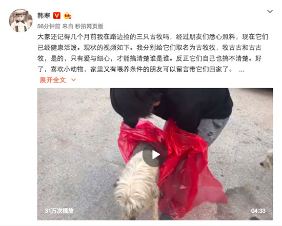韩寒救助被弃“繁殖犬”呼吁大家用领养代替购买