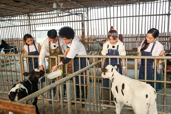 《青春旅社》王源郭劲岐割稻获冠军 李小璐变身“超级无敌挤奶师”