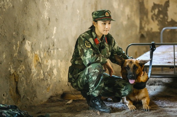 《奇兵神犬》大结局展开荒岛求生 杨烁沙溢逗乐上线