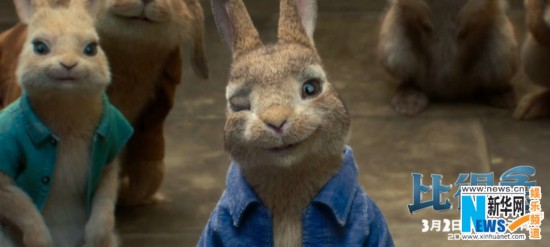 《比得兔》兔界大佬颠覆形象搞怪出位