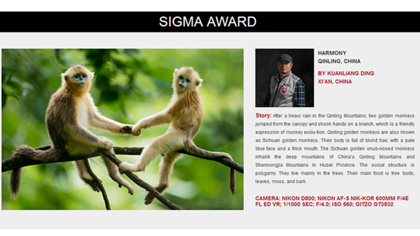 第四届亚洲最佳自然摄影奖揭晓 《和谐》获野生动物组特别奖