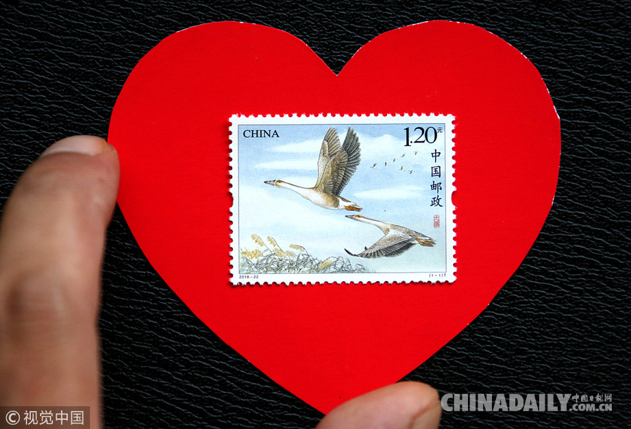 “七夕节” 中国邮政发行《大雁》特种邮票