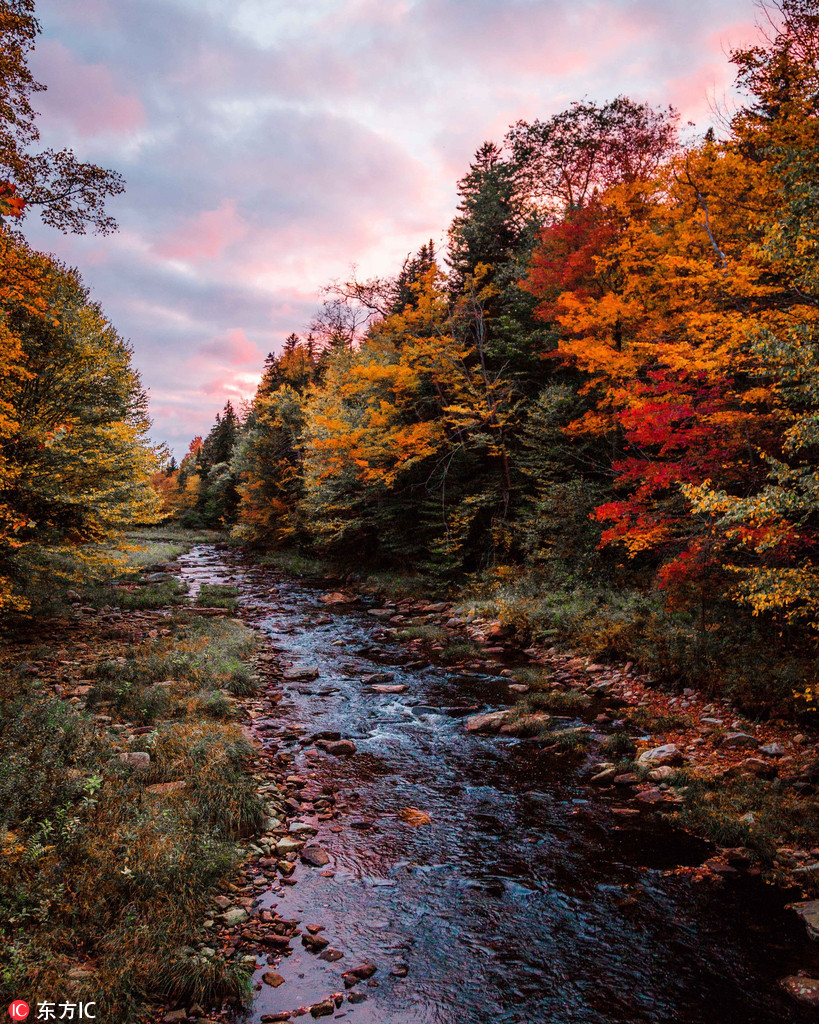 秋天的童话！美国摄影师航拍晚秋森林 层林尽染美如画卷