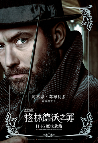 《神奇动物：格林德沃之罪》四大主演将来华宣传 魔法狂潮即将席卷中国