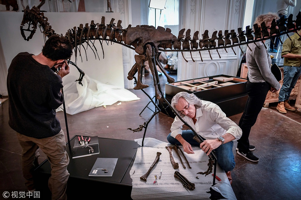 法国拍卖行将拍卖两副恐龙骨架 专家组装骨骼精密如拼图