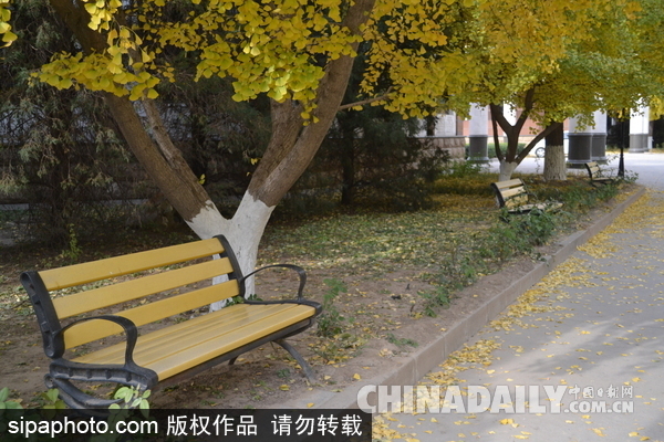 中国第一座文学博物馆：位于北京四环的中国现代文学馆