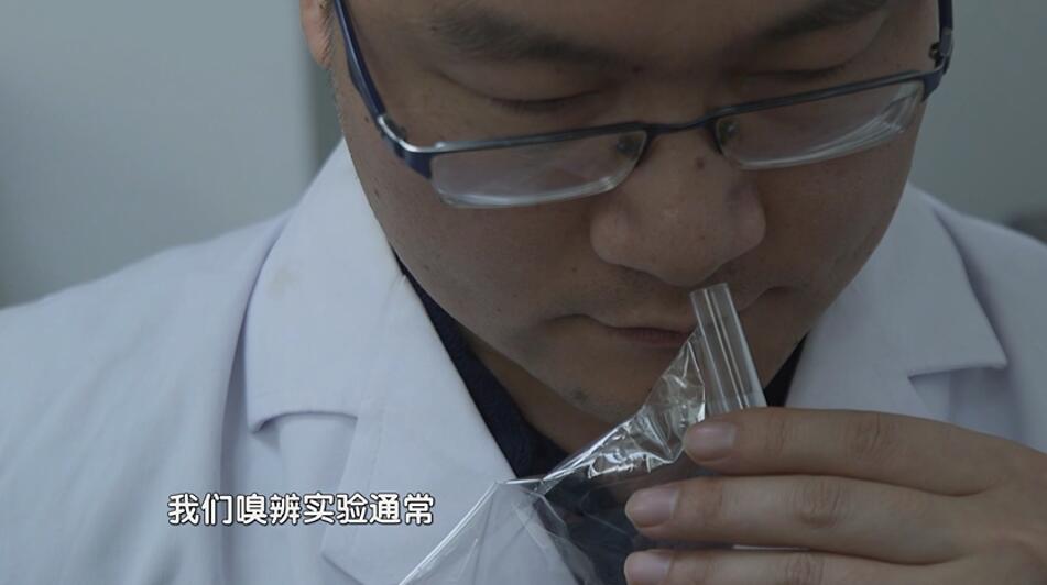 《美丽中国》嗅辨师给臭气“定罪” 用鼻子换来清新空气